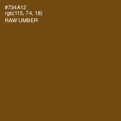 #734A12 - Raw Umber Color Image